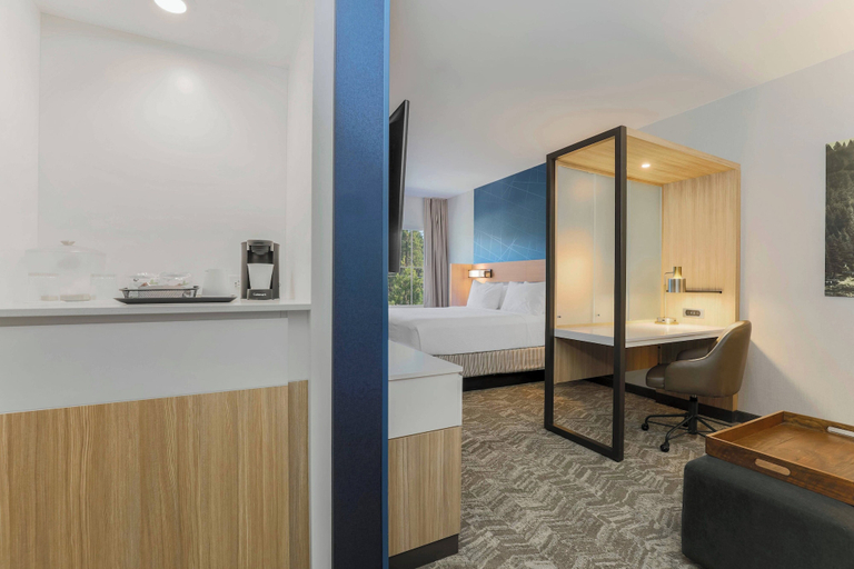 Others 4, SpringHill Suites by Marriott Truckee Lake Tahoe, Nevada