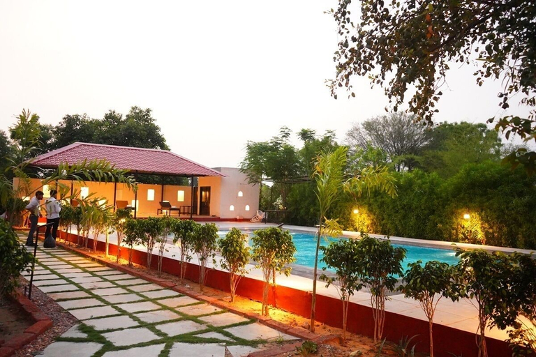 Sport & Beauty 5, Sundervan Vilas Ranthambore, Sawai Madhopur