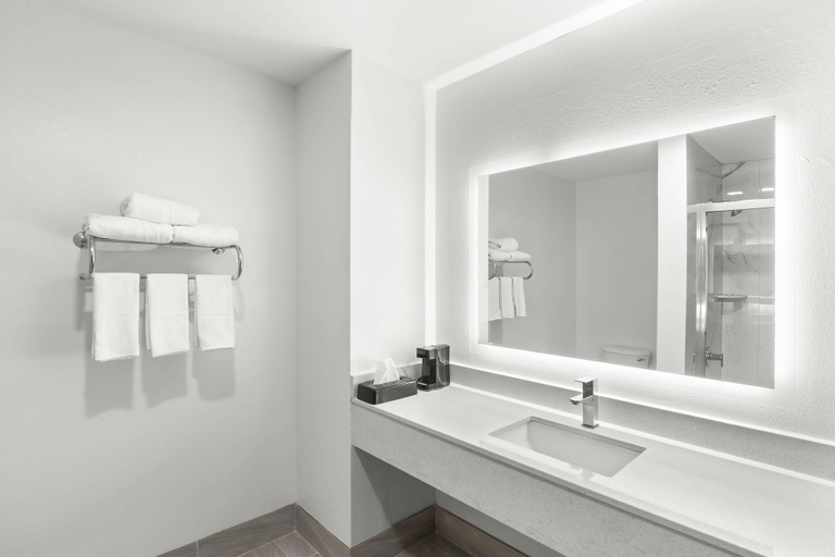 Bathroom 4, Quality Inn Tallapoosa, Haralson
