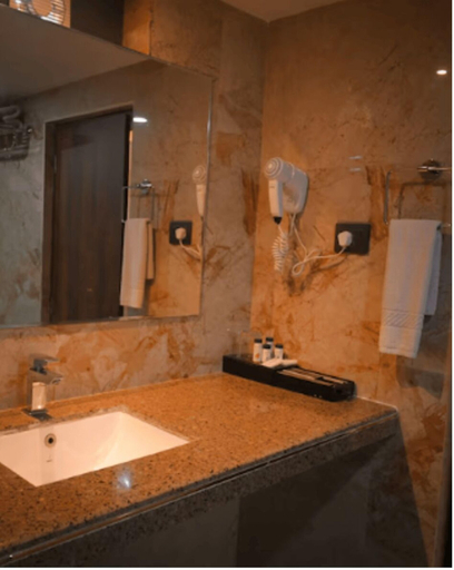 Bathroom, Luxus Inn Hotel, Dhanbad