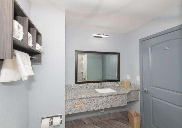 Bathroom 4, Jameson Inn and Suites Riverdale, Clayton