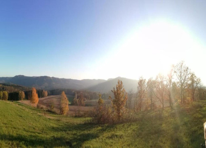 View from property 5, Modern Holiday Home With Shared Swimming Pool in Mittelndorf, Sächsische Schweiz-Osterzgebirge