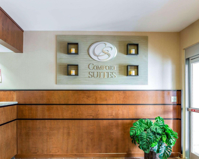 Public Area 3, Comfort Suites Knoxville North, Knox