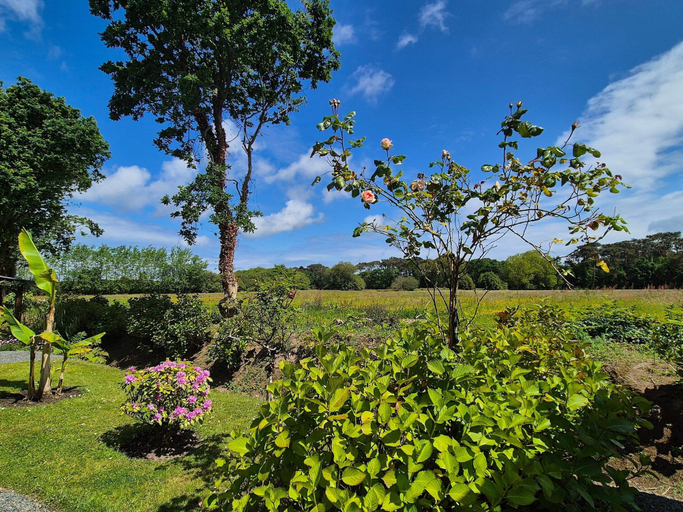 View from property 5, Holiday Home in Plourivo Near Goelo Coast, Côtes-d'Armor