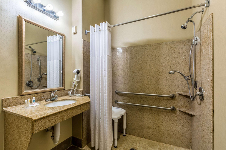 Bathroom 4, Comfort Suites Galveston, Galveston