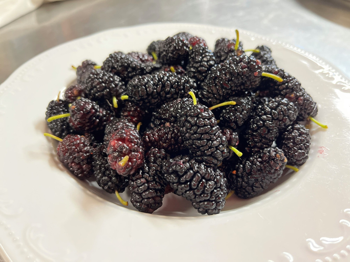 Food & Drinks 5, Locanda di Federico, Pesaro E Urbino