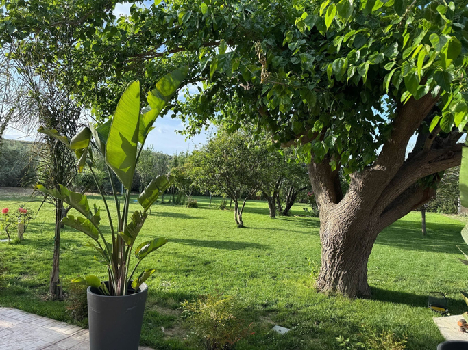 Others 4, Vila Shehu, Vlorës