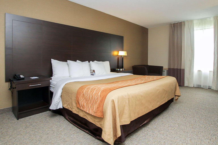 Bedroom 3, Comfort Inn (Cornwall), Stormont, Dundas and Glengarry
