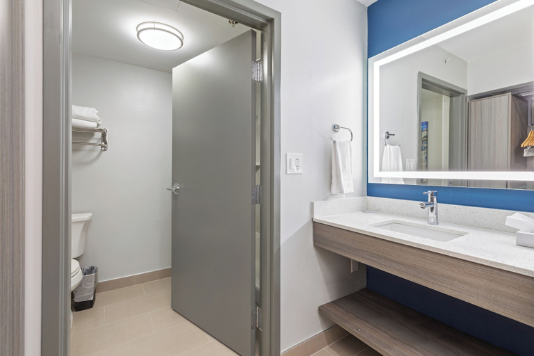 Bathroom 4, Best Western Plus Elgin - Chicago, Kane