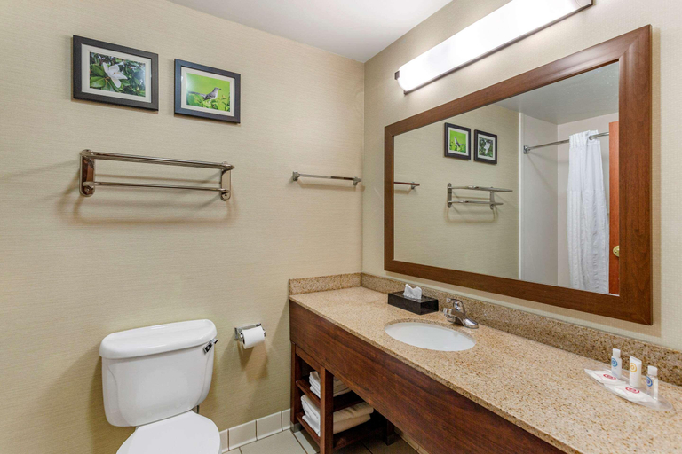 Bathroom 4, Comfort Suites Southaven - Memphis South, Desoto
