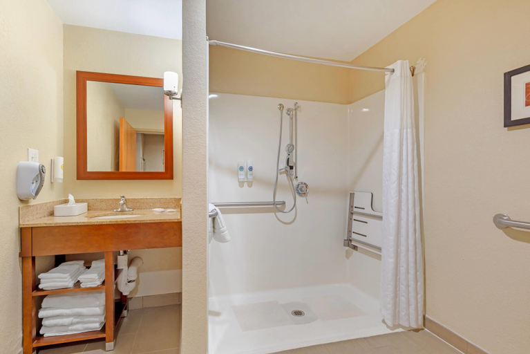 Bathroom 5, Comfort Suites Oxford I-20 exit 188, Calhoun