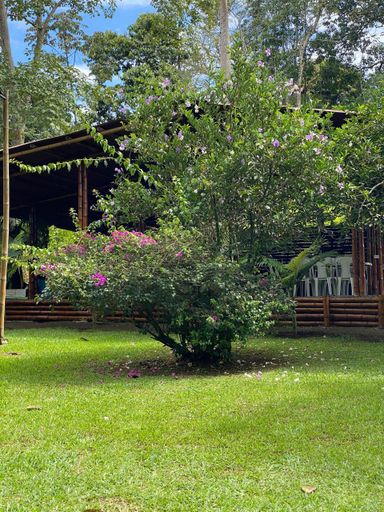Others 5, EcoCabanas Pereira, Pereira