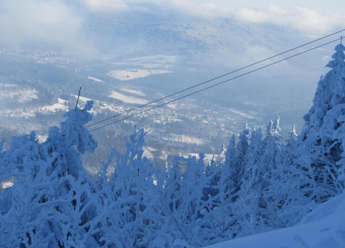 View from property 4, Cozy Bavarian Forest Retreat, Cham