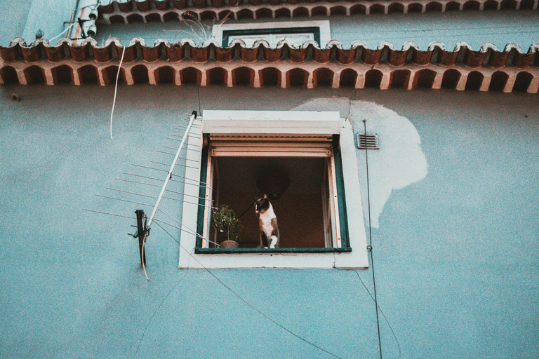 Exterior & Views, Aegis3, Bagmati