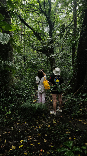 Others 4, Hide and Seek, Lombok