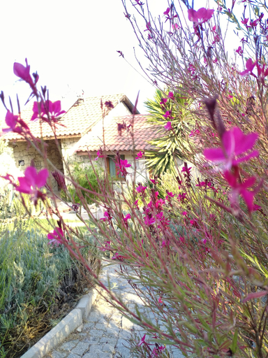 Others 4, Guney Urla Suites, Urla