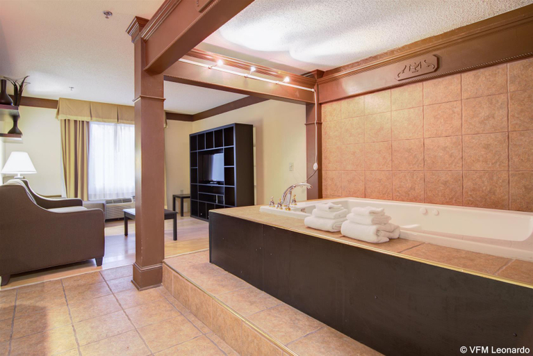 Bathroom, Comfort Inn & Suites Macon North I-75, Bibb