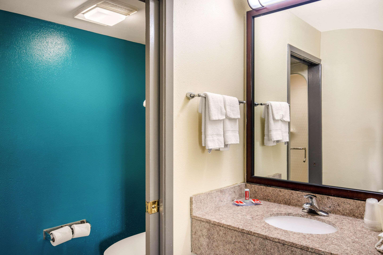 Bathroom 5, Quality Inn & Suites Richardson-Dallas, Collin