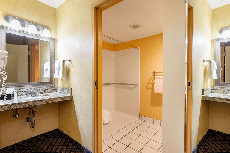 Bathroom 4, Quality Inn & Suites Coldwater Area, Branch