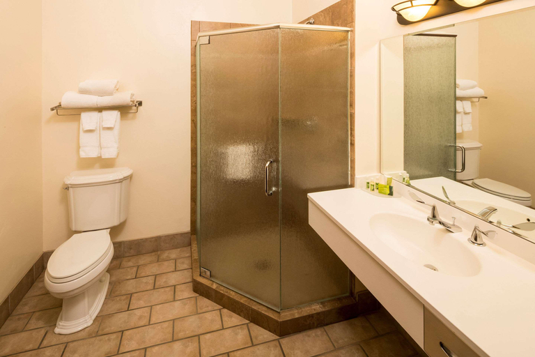Bathroom 4, Kress Inn, Ascend Hotel Collection, Brown