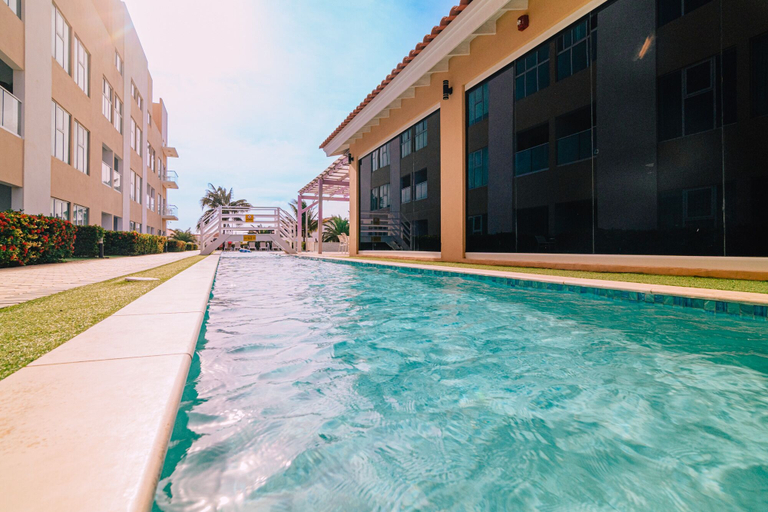 Others 5, Aruba's Life 216