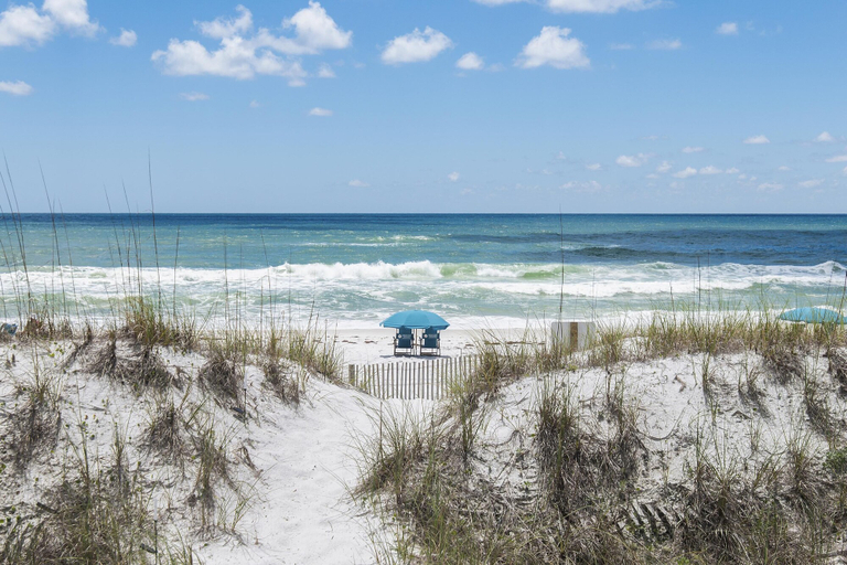 Others 4, Green Reef #7- Emerald Horizon, Okaloosa