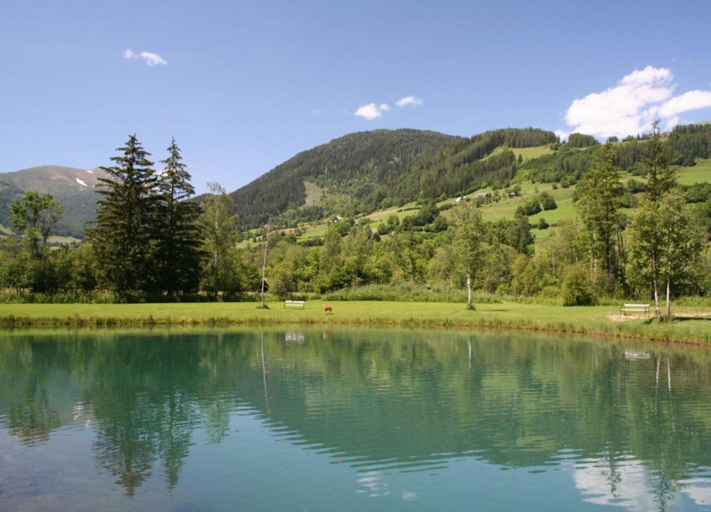 View from property 5, Sunlit Cabin With Jacuzzi in Turracherhohe, Murau