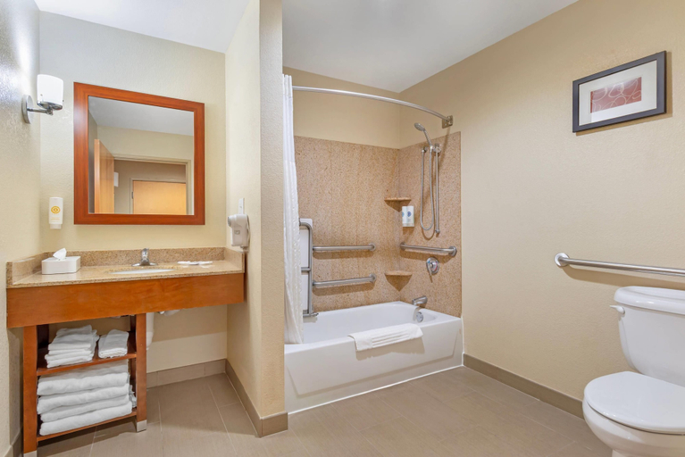 Bathroom 5, Comfort Suites Oxford I-20 exit 188, Calhoun
