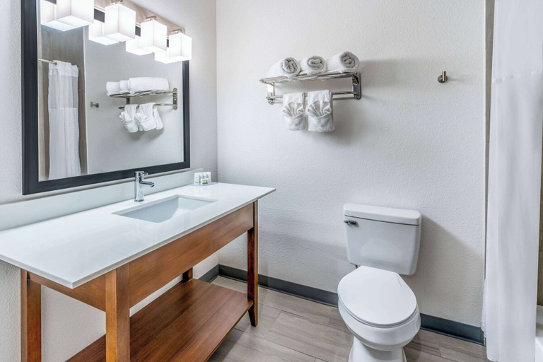 Bathroom 5, Baymont by Wyndham Carlsbad NM, Eddy