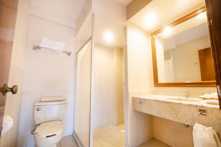 Bathroom 4, Plaza Uruapan Hotel, Uruapan