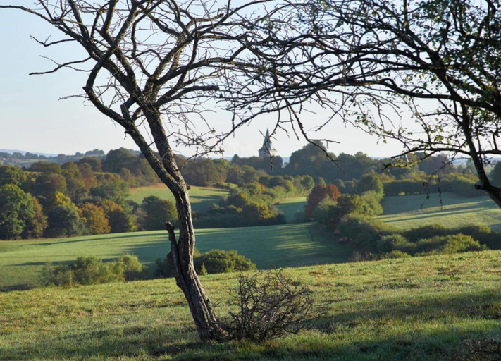 View from property 4, Beautiful Holiday Home in Vlaanderen With Shared Pool, Antwerpen
