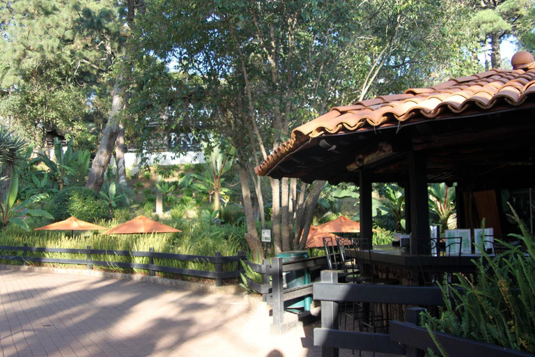 Food & Drinks, Monteverde, Mazamitla