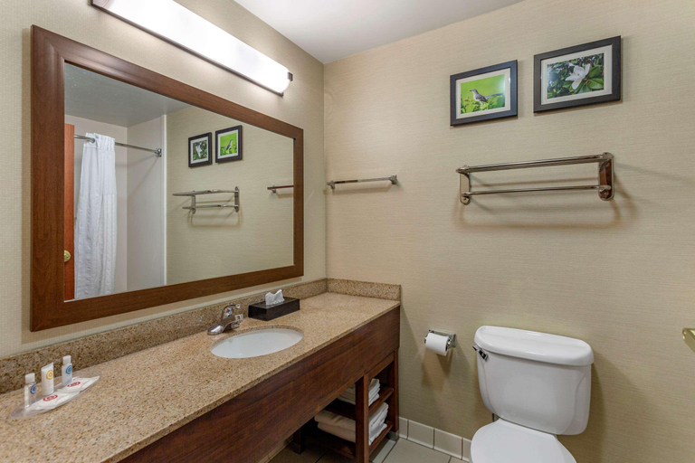 Bathroom 4, Comfort Suites Southaven - Memphis South, Desoto