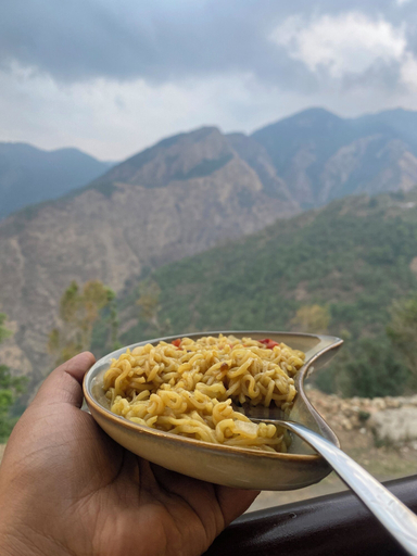 Food & Drinks 4, Harika Palace hidden awayfrom city chaos, Nainital