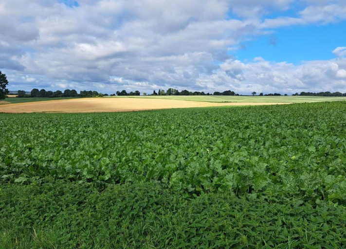 View from property 3, Bungalow in Landgraaf With Terrace, Landgraaf