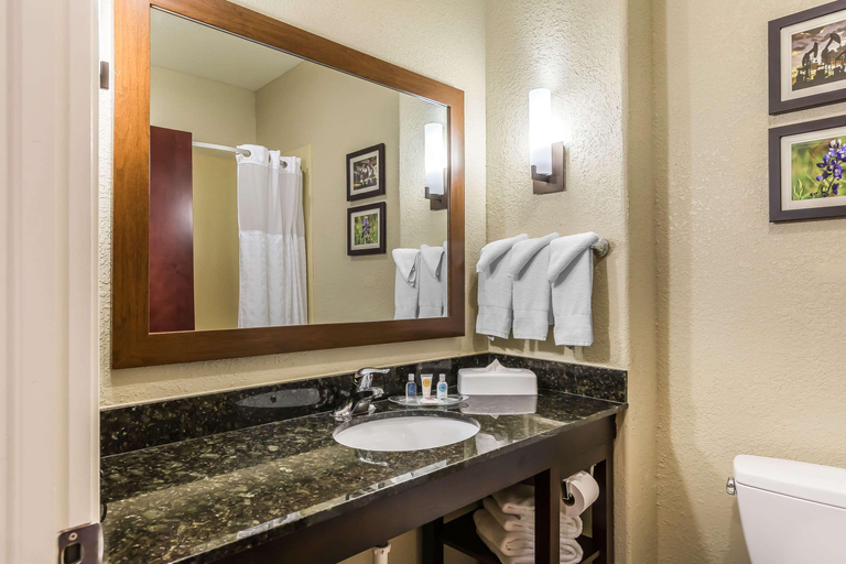 Bathroom 4, Comfort Suites Houston IAH/Beltway 8, Houston