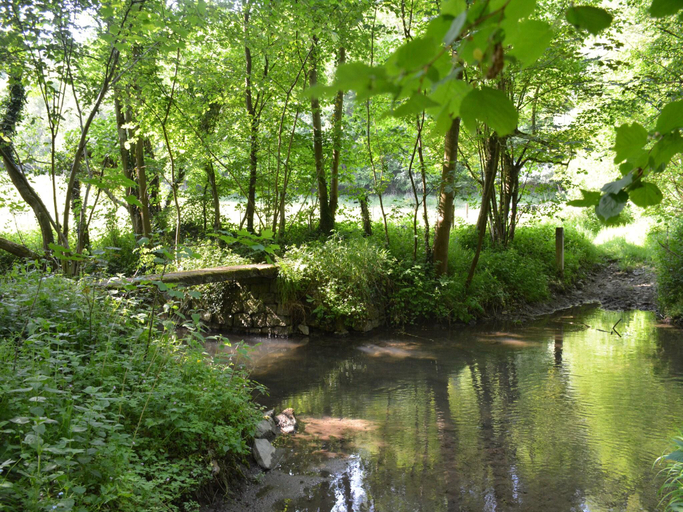Others 5, Group Escape by Molignee River, Namur