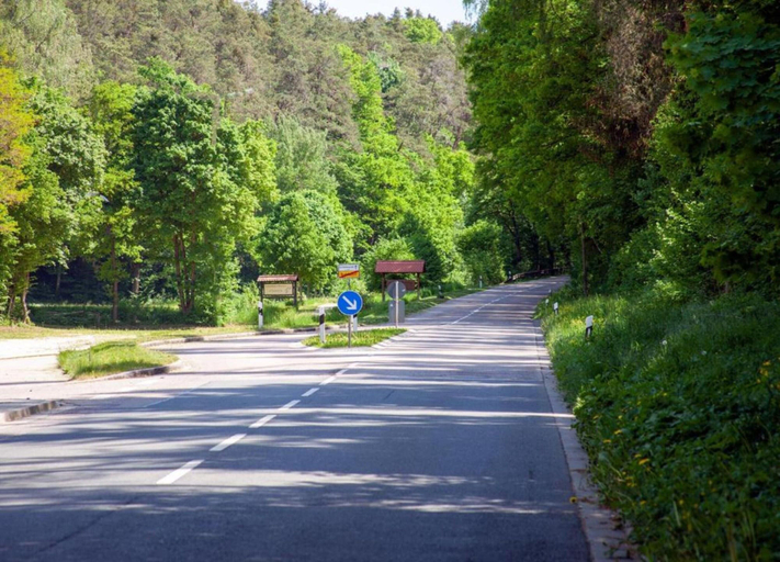 View from property 5, Cozy Bavarian Forest Retreat, Cham