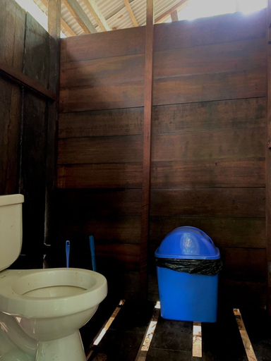 Bathroom, amazonian oropendola tambopata, Tambopata