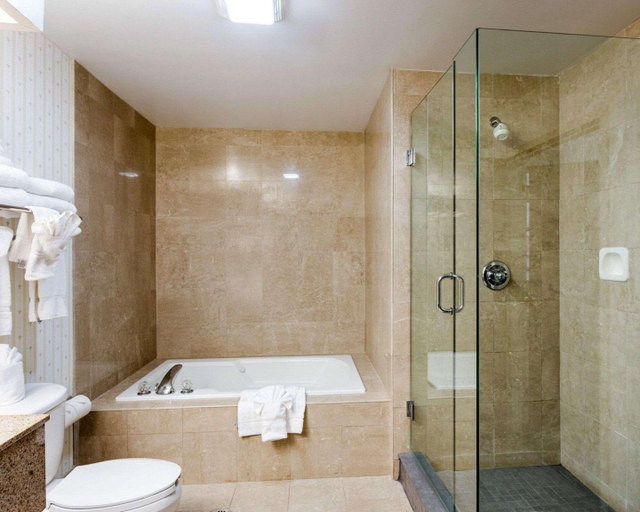 Bathroom 4, Comfort Suites Southaven - Memphis South, Desoto