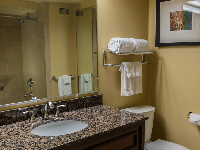 Bathroom 4, The Aquarius Casino Resort, BW Premier Collection, Clark