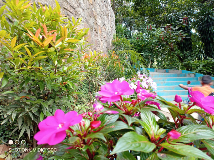 Sport & Beauty, Summer Villa, Ella