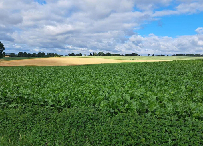 View from property 3, Modernized Holiday Home With Terrace, Sittard-Geleen