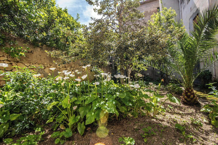 Property grounds 3, Il Giardino Delle Calle, Sassari