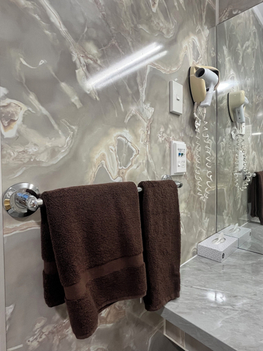Bathroom 4, Beetham Park Motel, Hamilton