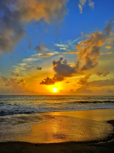 Others 2, Telma Beach Homestay, Alappuzha