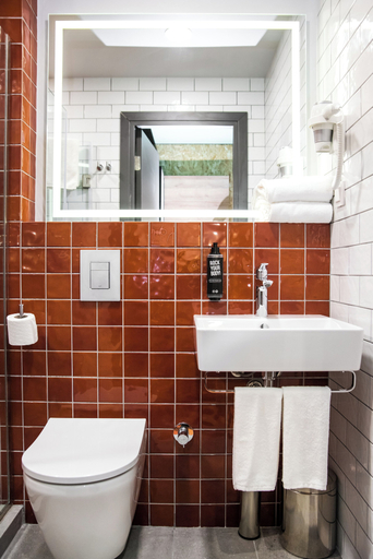 Bathroom 4, Ibis Styles Tbilisi Mziuri Park, Tbilisi