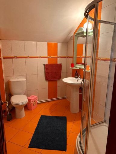 Bathroom 3, Pensiunea Victoria, Rasnov