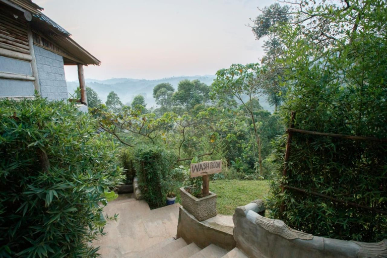 Others 4, Bwindi My Home, Kinkiizi