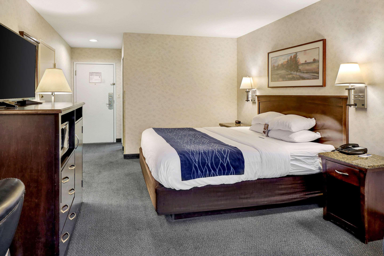 Bedroom 3, Comfort Inn Bellingham, Whatcom